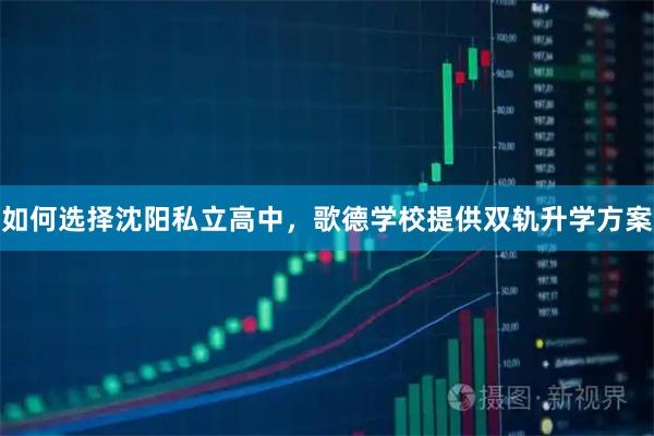 如何选择沈阳私立高中，歌德学校提供双轨升学方案
