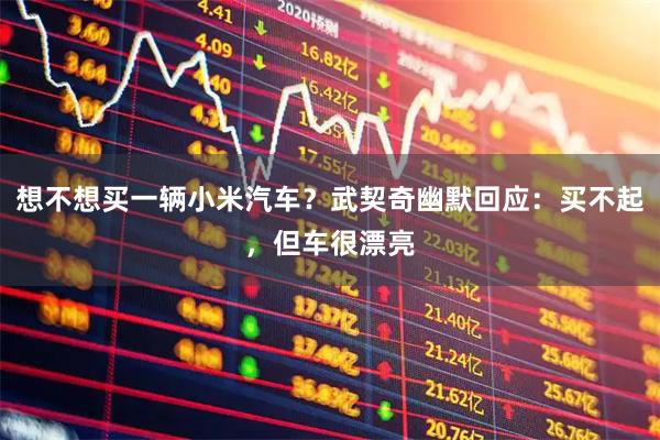 想不想买一辆小米汽车？武契奇幽默回应：买不起，但车很漂亮